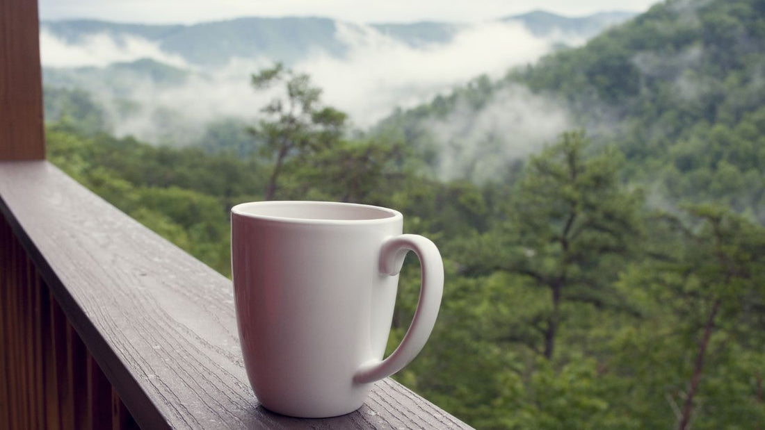 The Mountains Of Khawlan In Yemen: Nature, Culture, And The Coffee Tree - The Coffee Pearls