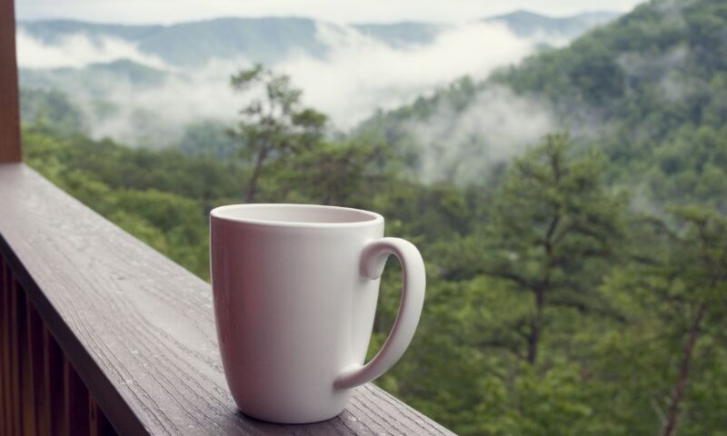 The Mountains Of Khawlan In Yemen: Nature, Culture, And The Coffee Tree - The Coffee Pearls